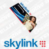 Skylink