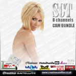 SCT HD Satisfaction 8 Channel 12 months card and CAM bundle